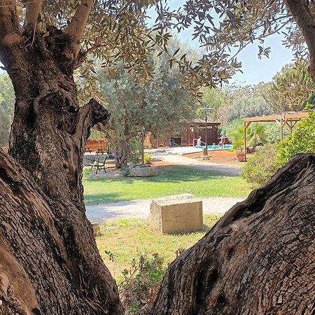 Вилла Entre Viejos Olivos Benicolet Экстерьер фото