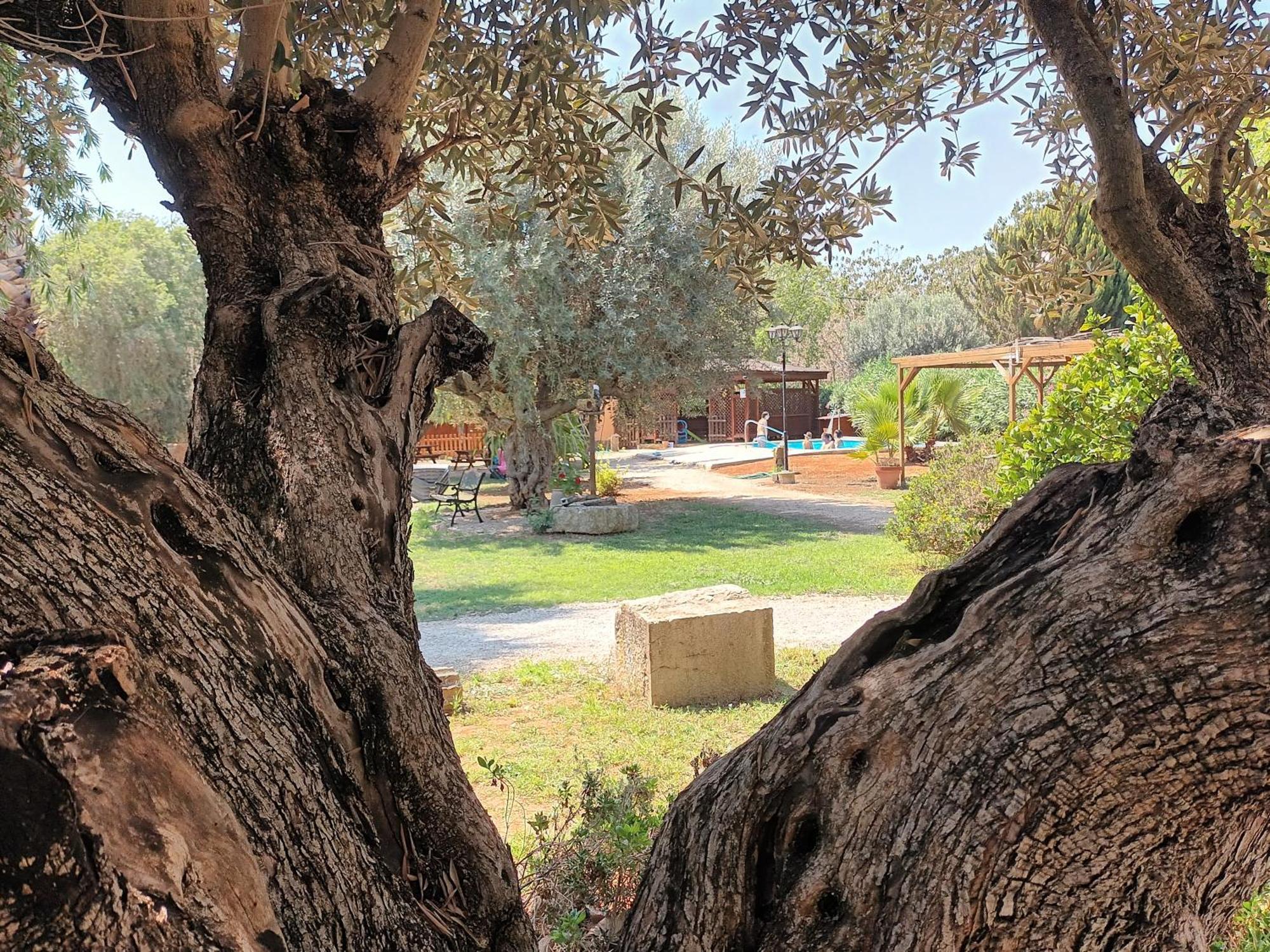 Вилла Entre Viejos Olivos Benicolet Экстерьер фото