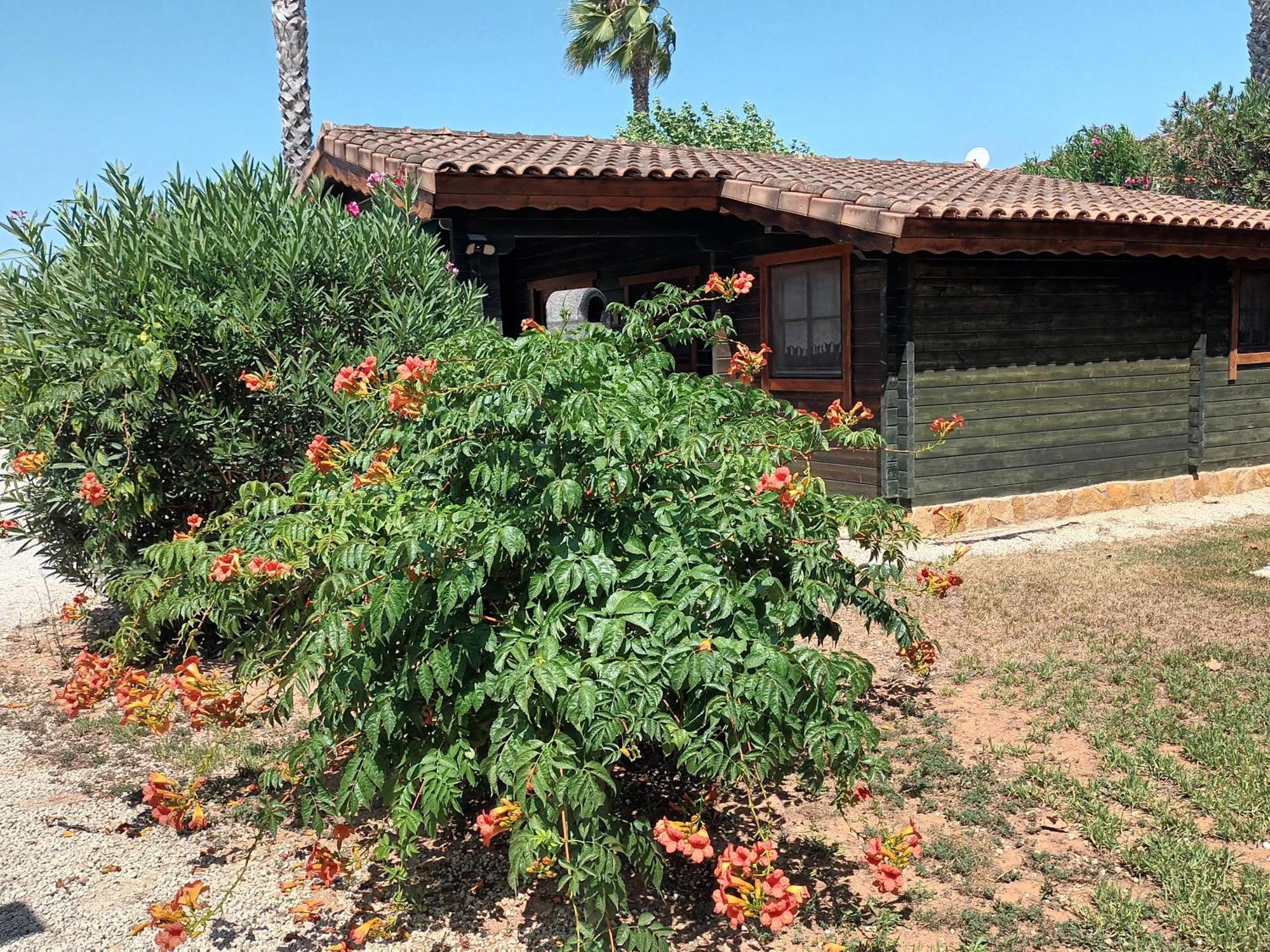Вилла Entre Viejos Olivos Benicolet Экстерьер фото