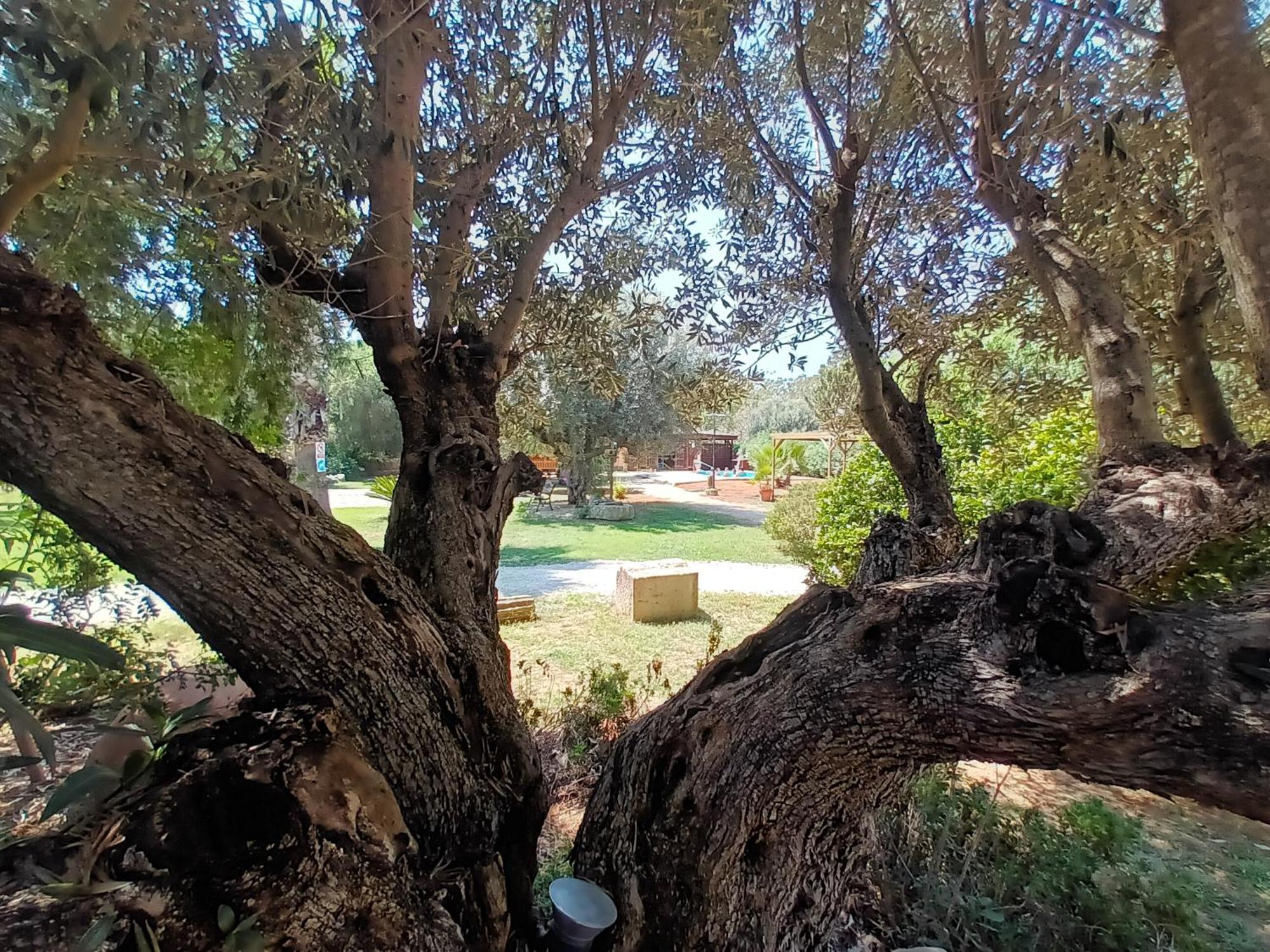 Вилла Entre Viejos Olivos Benicolet Экстерьер фото