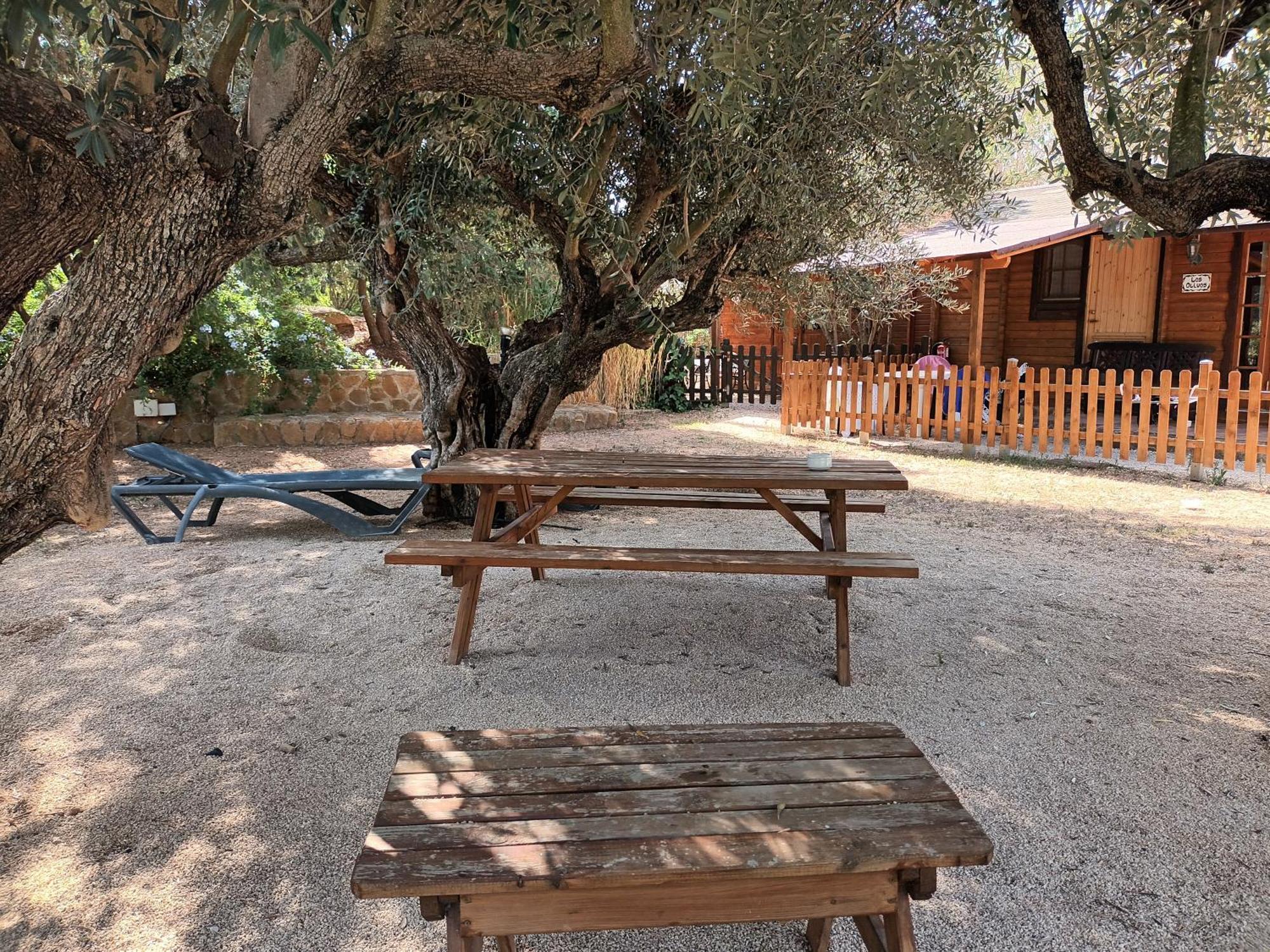 Вилла Entre Viejos Olivos Benicolet Экстерьер фото