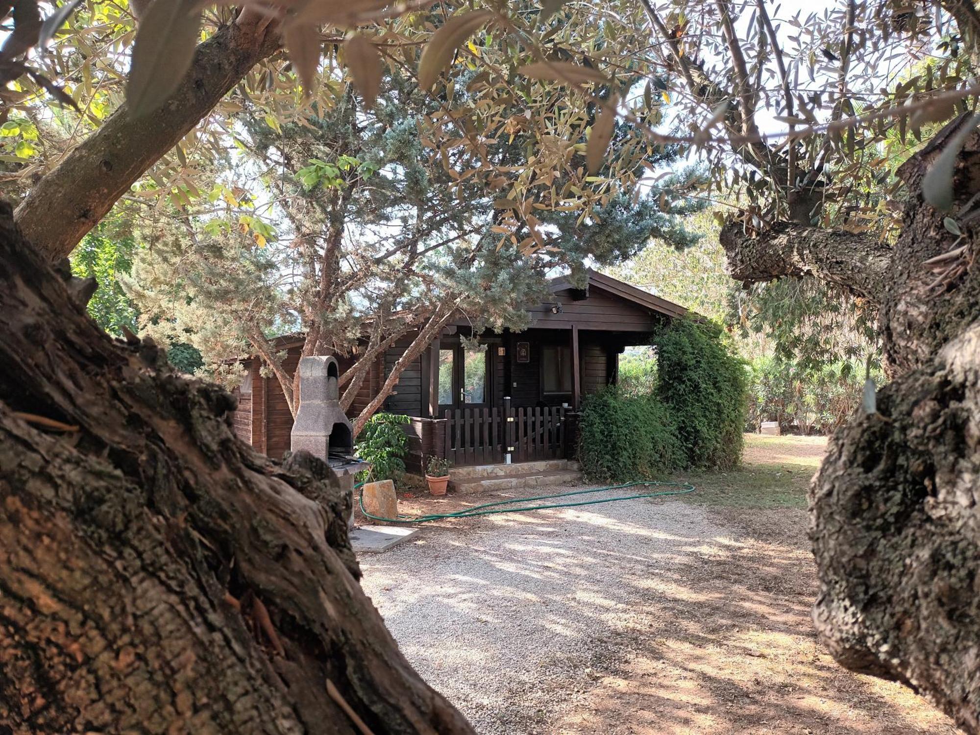 Вилла Entre Viejos Olivos Benicolet Экстерьер фото